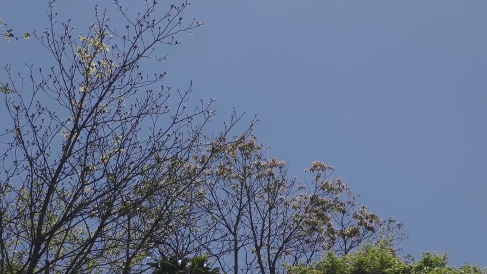 総合テスト_CMSコンテンツ入稿1サムネイル画像