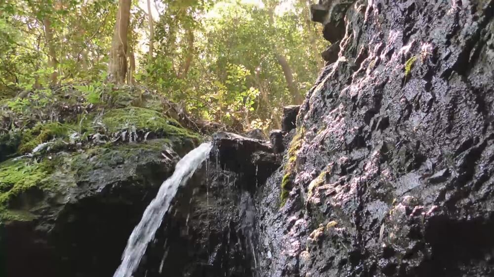 総合テスト_CMSコンテンツ入稿2サムネイル画像